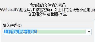 村花首发赵世熙热舞走光片段精简版【15V】【390M】【百度云】